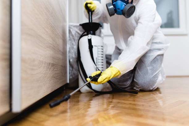 Best Bed Bug Extermination  in Fearrington Village, NC
