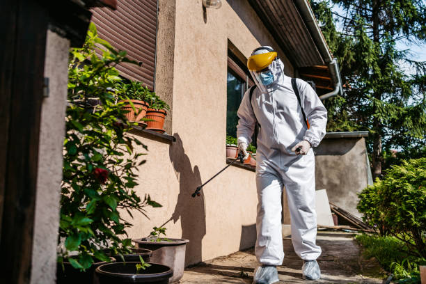 Pest Prevention Services in Fearrington Village, NC
