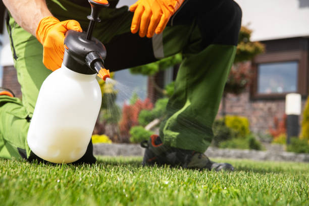 Best Exterminator Services  in Fearrington Village, NC