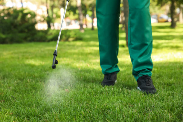 Best Pest Inspection Near Me  in Fearrington Village, NC