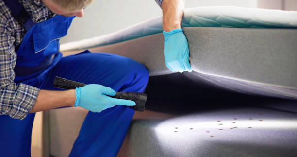 Best Mosquito Control Services  in Fearrington Village, NC