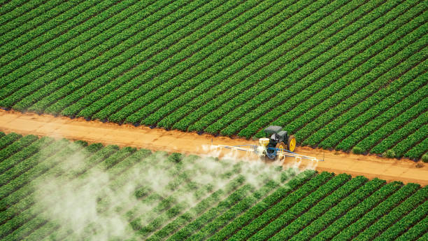Best Best Pest Control Companies  in Fearrington Village, NC