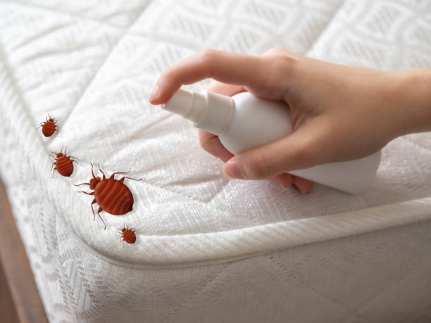 Best Pest Control for Restaurants  in Fearrington Village, NC