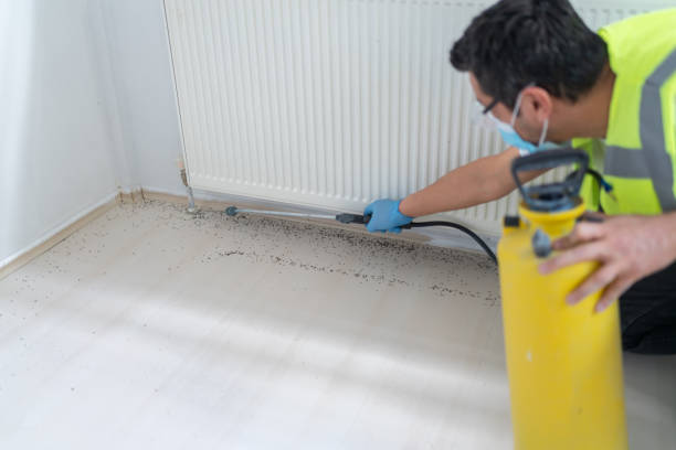 Best Flea Control Services  in Fearrington Village, NC