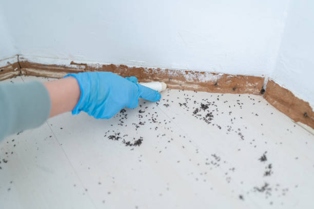 Pest Control for Restaurants in Fearrington Village, NC